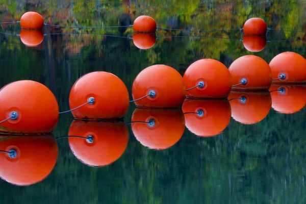 USA, Oregon Orange buoys form dam on Rogue River